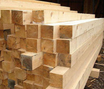 北京金潤靜雅竹木經銷部 長期銷售優質綠化用杉木桿與竹竿